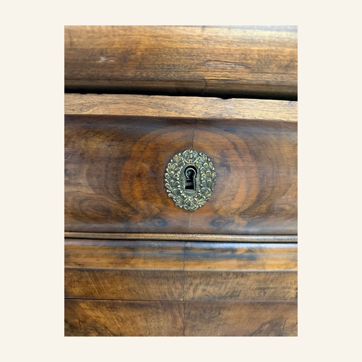 19th Century French Louis - Philippe Burl Walnut Commode - Drue Bohrer Antiques