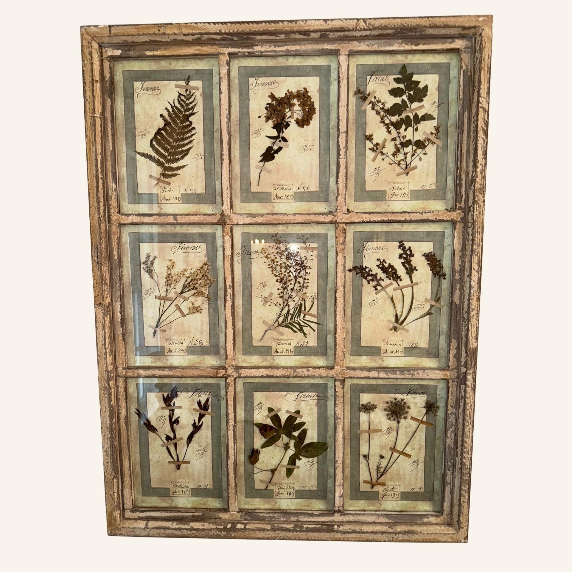 Framed Italian Botanical Herbariums - Florence, Italy - Drue Bohrer Antiques